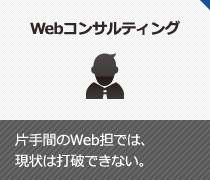 Webコンサルティング