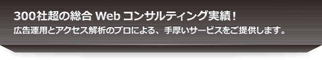 300社超の総合Webコンサルティング実績！広告運用とアクセス解析のプロによる、手厚いサービスをご提供します。