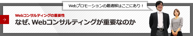 なぜWebコンサルティングが必要なのか？