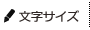 文字サイズ